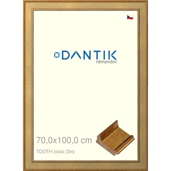 Rám na obraz DANTIK rámeček 70x100 | TOOTH zlatá (Plexi Čiré) (Vyrobeno s láskou u nás v DANTIKU)