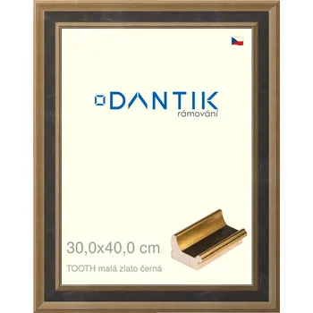 Rám na obraz DANTIK rámeček 30x40 | TOOTH malá zlato černá (Plexi Čiré) (Vyrobeno s láskou u nás v DANTIKU)