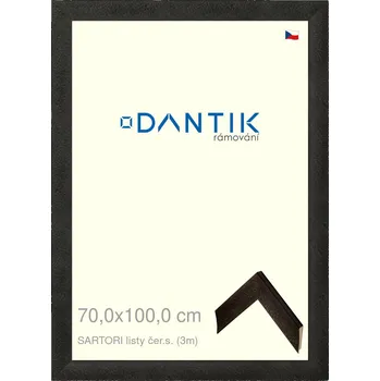 Rám na obraz DANTIK rámeček 70x100 | SARTORI listy čer.s. (Plexi Čiré) (Vyrobeno s láskou u nás v DANTIKU)