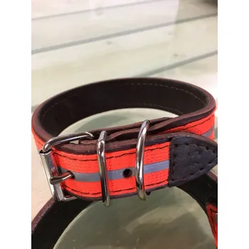 Obojek pro psa Reflexní obojek podšitý kůží or.-stříbrná 50