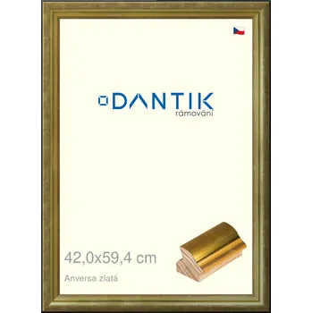 Rám na obraz DANTIK rámeček 42x59,4 | ANIVERSA zlatá (Plexi Čiré) (Vyrobeno s láskou u nás v DANTIKU)