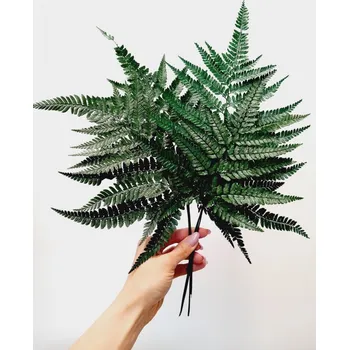 umělá květina Stabilizovaná kapradina zelená 40cm, svazek 10ks