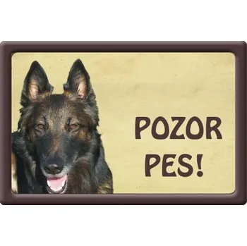 Plechová cedule Plechová psí cedule, Belgický ovčák, Pozor pes