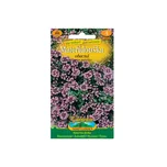 Nohel Garden Mateřídouška obecná 400 ks