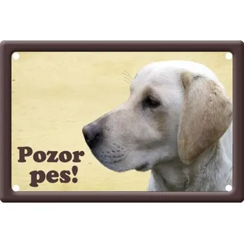 Plechová cedule Plechová psí cedule, Labradorský retrívr, Pozor pes