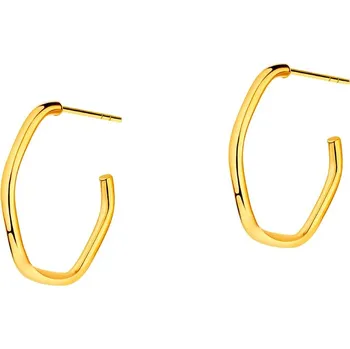 Náušnice Zlaté náušnice - AP531-4373