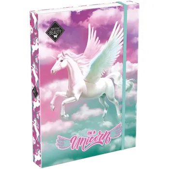 Set školních potřeb LIZZY box na sešity A4 Magical Beauty Magic 24 492211