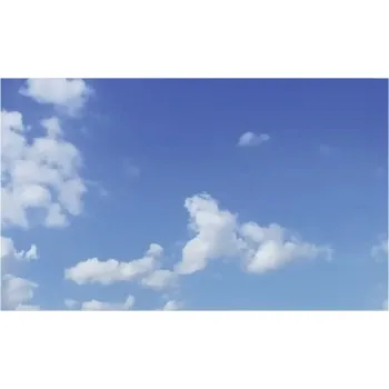 Obklad Obkladový panel do kuchyně mySpotti Profix obloha 100 x 60 cm PX-10060-880-HB