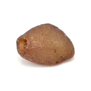 Karneol surový / 3621