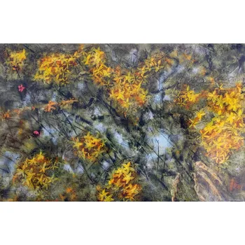 Obraz Zuzum Malba na sklo - Letní louky 2