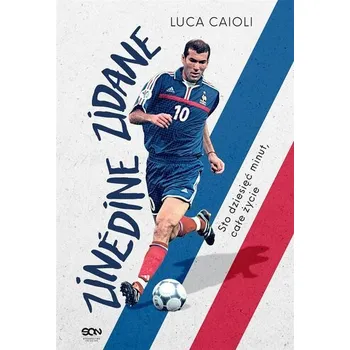 Zinedine Zidane. Sto dziesięć minut, całe życie - Caioli Luca