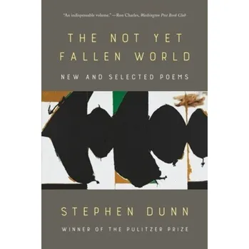 Cizojazyčná kniha Not Yet Fallen World - Dunn, Stephen