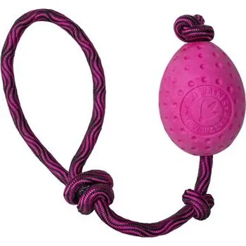 Hračka pro psa Hračka pro psa EGG Maxi plov. z TPR růžová Kiwi