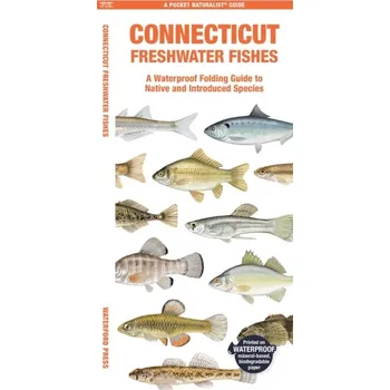 Cestování Connecticut Freshwater Fishes - Binns, Matthew; Morris, Tony