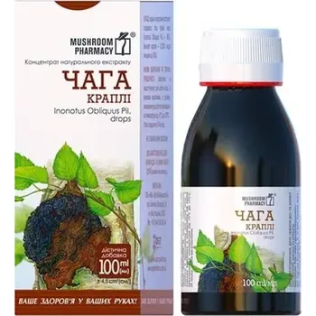Mushroom Pharmacy Chaga extract 140 mg, 100 ml