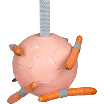 Pro koně WALDHAUSEN Hračka pro koně Carrot Waldhausen, linnea pink