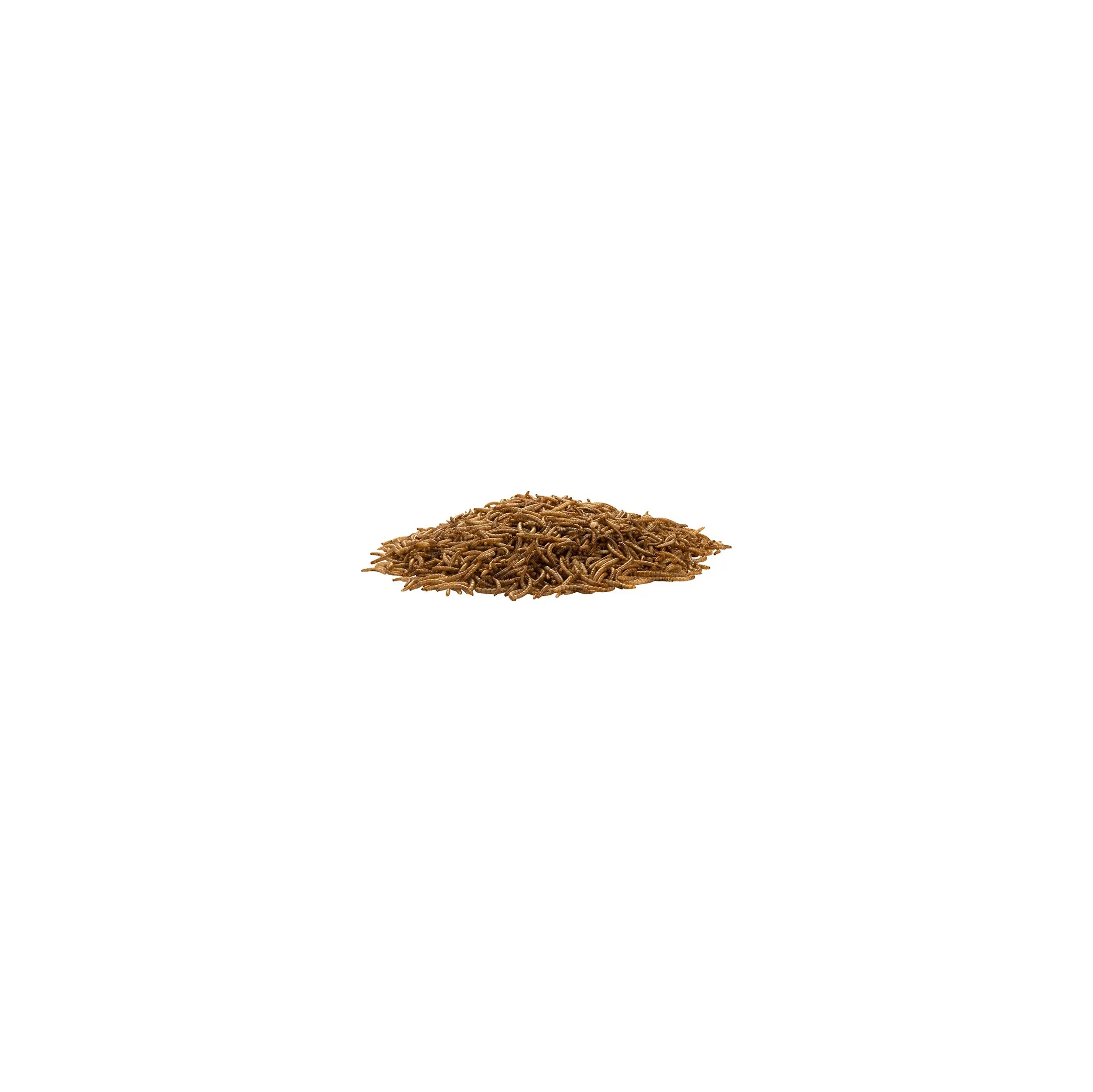 Fotografie 2 - Krmivo pro ptáka UGF Sušení mouční červi 460 g