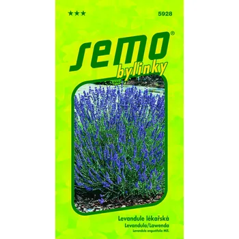 Semeno Semo Levandule lékařská - Provence