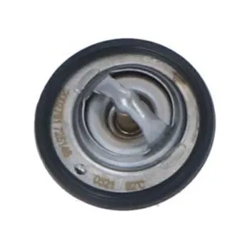 Těsnění motoru Termostat, chladivo NRF 725146
