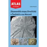 Zkamenělé stopy živočichů v Čechách a…