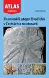 Zkamenělé stopy živočichů v Čechách a…