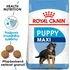 Krmivo pro psa Royal Canin Maxi Puppy Poultry
