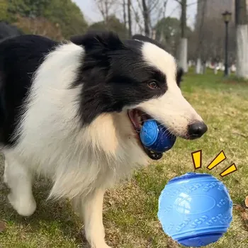 Hračka pro psa Hračka pro psy | odolný pískací míček