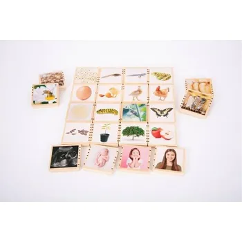 Dřevěná hračka TicKit dřevěné životní cykly (24ks)