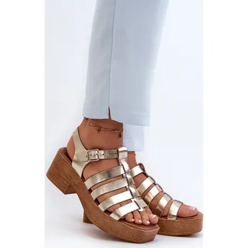 Dámské sandále Sandály na podpatku model 198812 Step in style 36