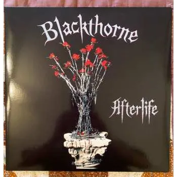 Zahraniční hudba 2LP Blackthorne: Afterlife 2021