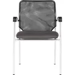 ANTARES - V90702095 - SPIDER KOSTRA CHROM - D5 SEDA, Šedá