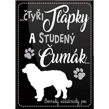 Dekorativní magnet Nekupto Magnet se psem - Berňák