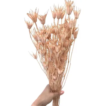 umělá květina Sušená Nigella Oriental sepia rose svazek/kytice (peach fuzz) 45g