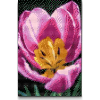 Diamantové malování Diamantové malování - Květ tulipánu Velikost: 20x30cm, Rámování: Pouze srolované plátno, Diamanty: Čtvercové