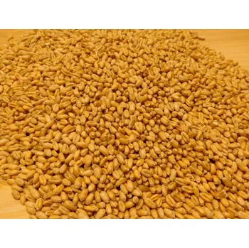 Horňácká farma BIO Pšenice ozimá - různá balení Hmotnost: 500 g