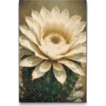 Diamantové malování Diamantové malování - Květ kaktusu Velikost: 20x30cm, Rámování: Pouze srolované plátno, Diamanty: Kulaté