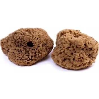 Mořská houba Mineral 11-12cm Caribbean Sun