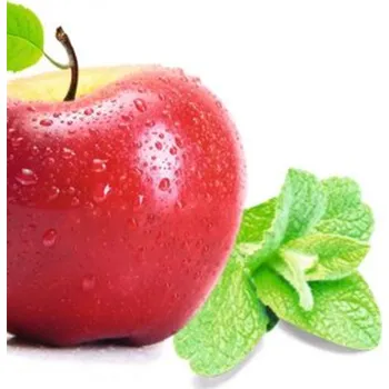 Sazenice Máta jablečná ´POMO´, kont. 1 l