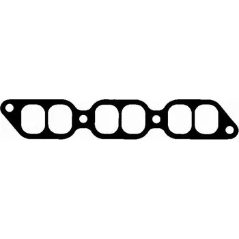 Těsnění, koleno sacího potrubí, , 1717662010, 1717662020, BGA, AG1670