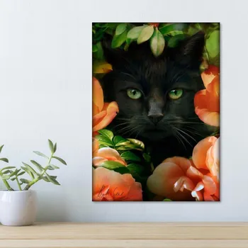 Diamantové malování Weltbild Diamantové malování Kočka 678810