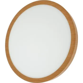 Svítidlo stropní TRIXLINE TR-52S 18W