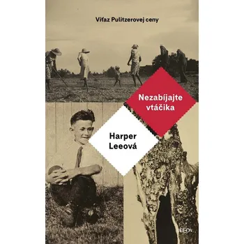 Kniha Nezabíjajte vtáčika