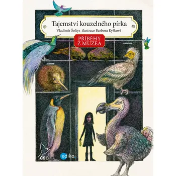 Kniha Příběhy z muzea. Tajemství kouzelného pírka