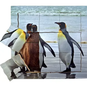 Puzzle Just Jigsaws Dřevěné vrstvené puzzle Tučňák a jeho životní cyklus 19 dílů