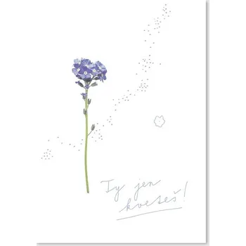 Přání s pomněnkou, ty jen kveteš