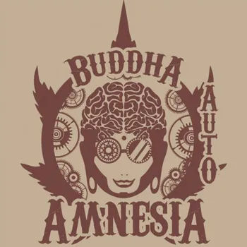 Pěstitelství Buddha seeds AMNESIA AUTO Počet ks Feminizované: 1