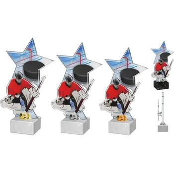 Poháry Bauer Akrylátová trofej ACTH0001M4 | Hokej