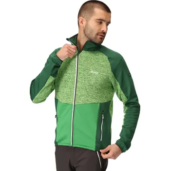 Pánská mikina REGATTA Coladane V zelená pánská outdoor mikina M