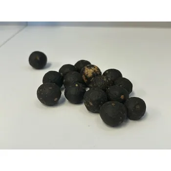 Krmivo pro hlodavce Ořechy Bocaiuva nepražené ve skořápce (natural) 1 kg