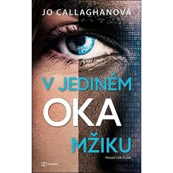 V jediném okamžiku - Jo Callaghan